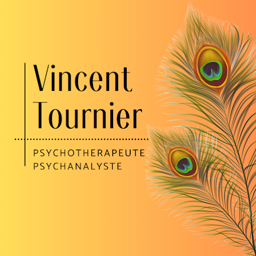 Logo de Vincent Tournier