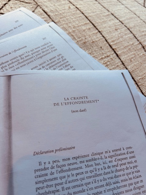 La crainte de l'effondrement - Winnicott